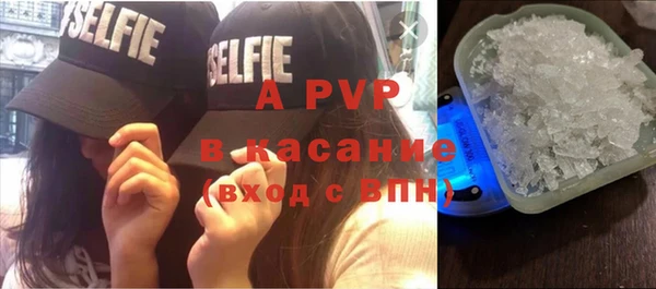 прущие грибы Арсеньев
