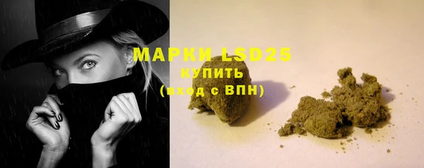 ПСИЛОЦИБИНОВЫЕ ГРИБЫ Аркадак