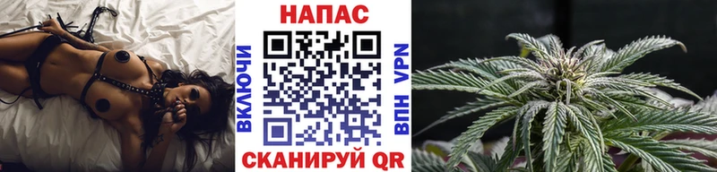 Шишки марихуана Amnesia Балтийск